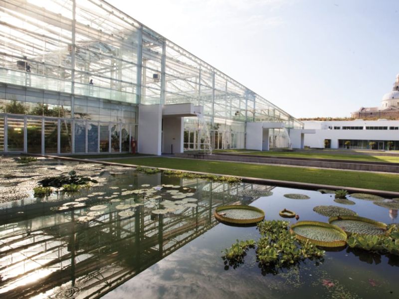 Ortobotanico Imgs.008