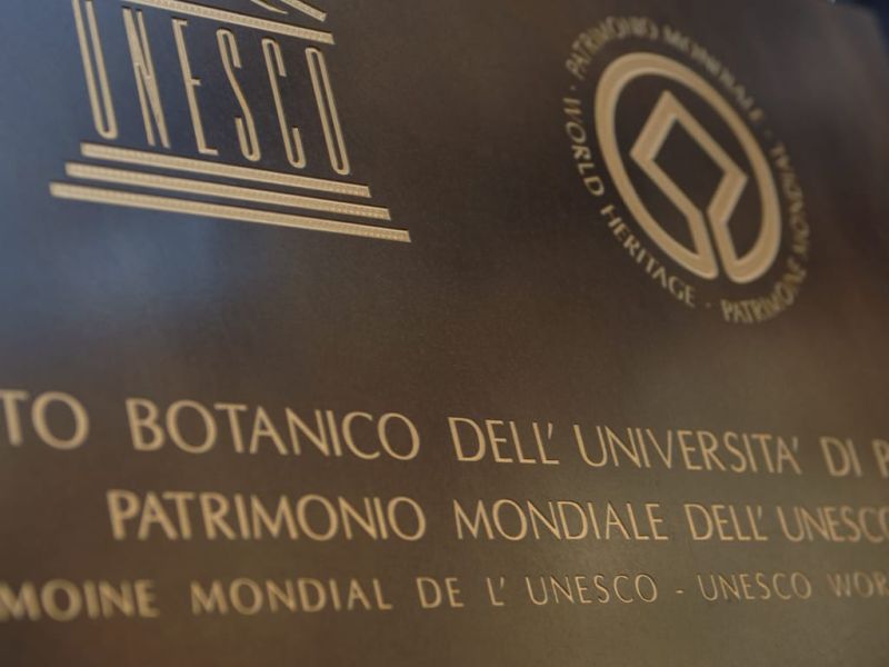 Ortobotanico Imgs.001