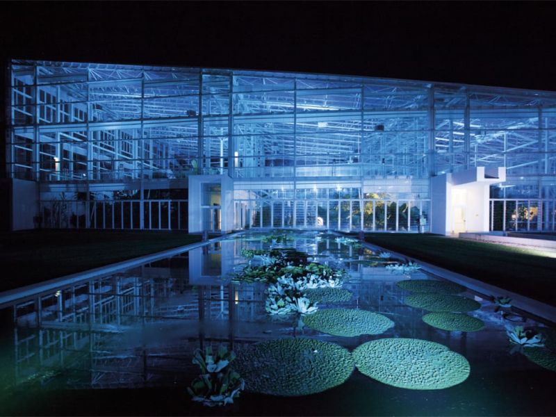Ortobotanico Imgs.014