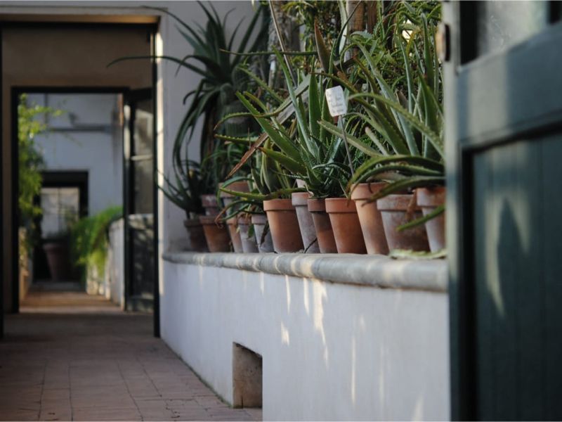 Ortobotanico Imgs.004